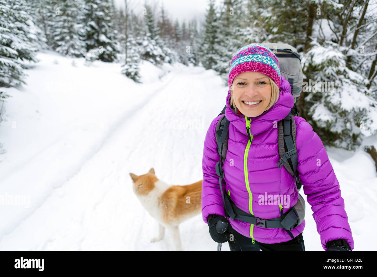 Frau im weißen Winterwald mit Akita Hund Wald wandern. Junge Mädchen gehen auf verschneiten Trail. Erholung, Fitness und gesundes Leben Stockfoto