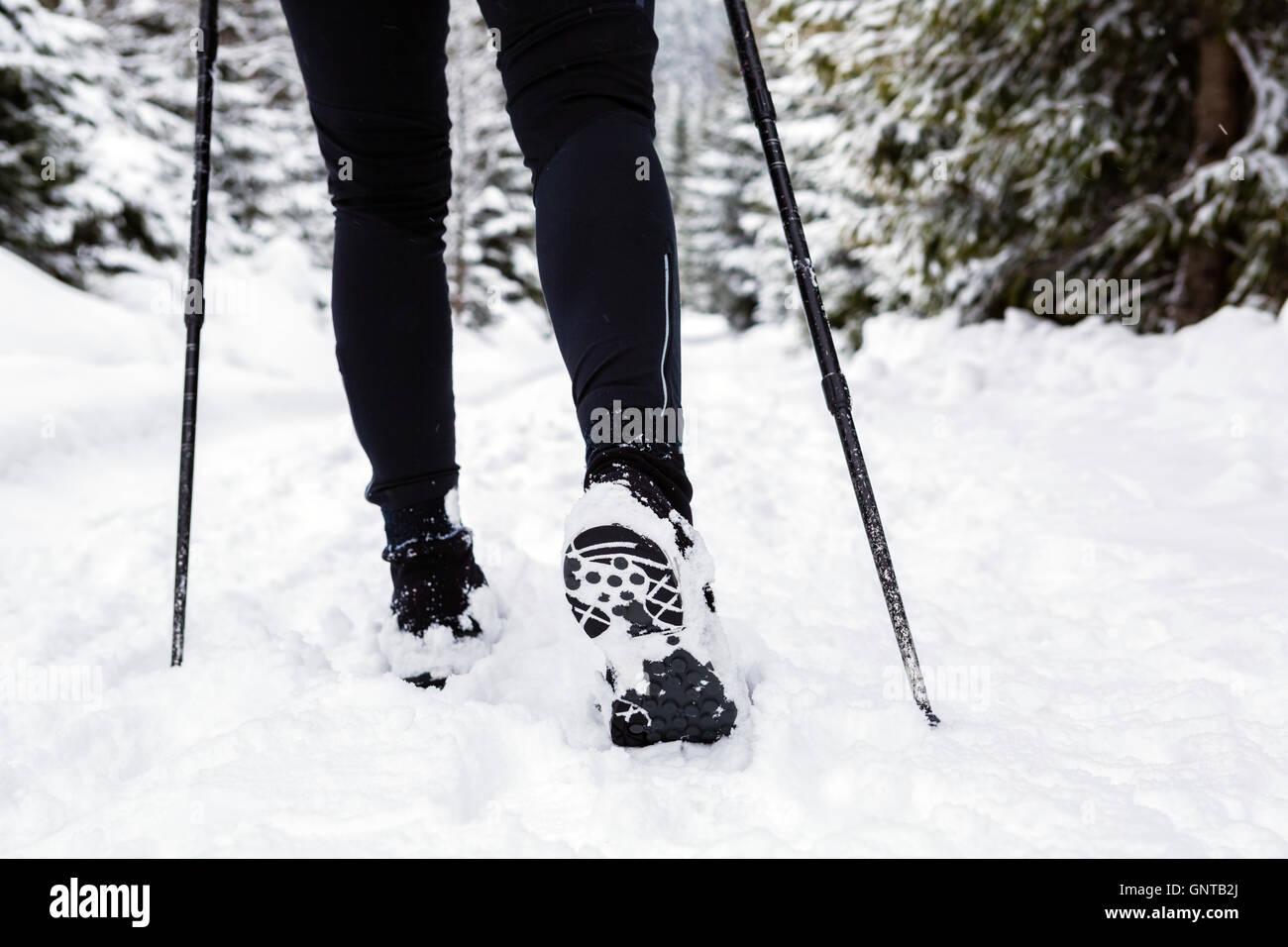 Weibliche Backpacker auf Schnee Spuren im weißen Winterwald wandern. Beine und Stiefel trekking. Erholung, Fitness und einen gesunden Lebensstil Stockfoto
