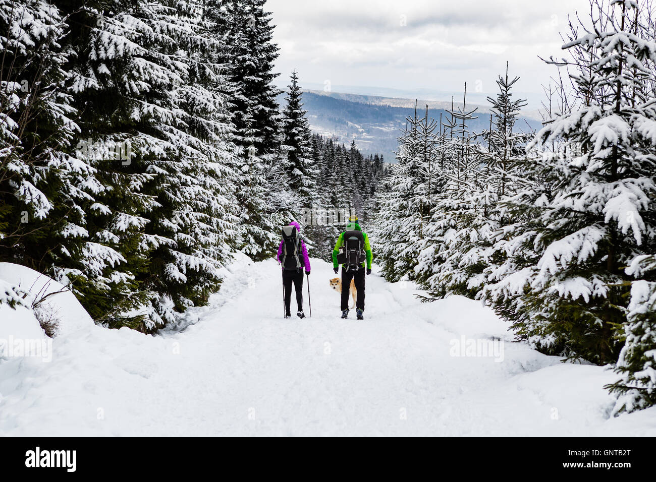Mann und Frau paar Wanderer trekking im weißen Winterwald und Berge, einen Hund spazieren gehen. Menschen zu Fuß auf verschneiten Trail mit Rücken Stockfoto