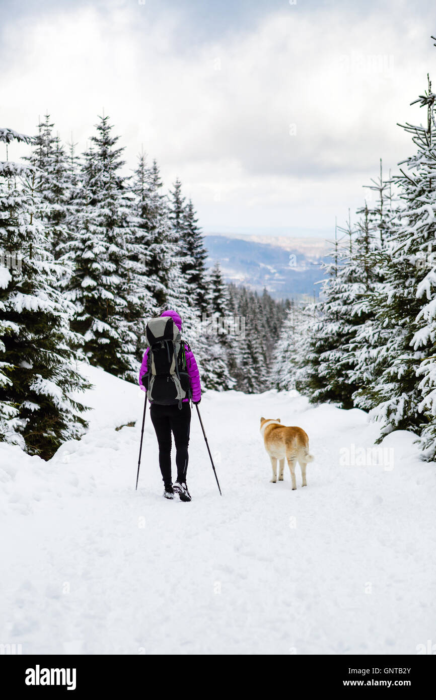 Frau Backpacker Reisen Wandern im weißen Winterwald mit Akita Hund. Wandern im Winterwald mit Hund. Freizeit Fitness ein Stockfoto
