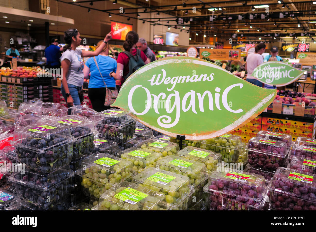 Bio-Obst bei Wegmans Lebensmittelgeschäft, Westwood, Massachusetts, USA Stockfoto