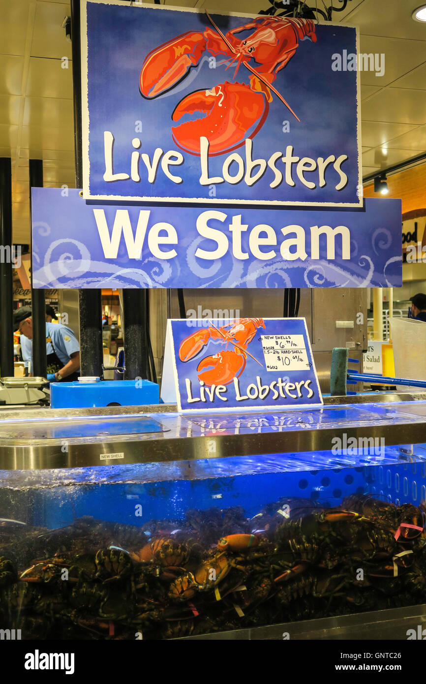 Live-Hummerbecken, Fischabteilung, Wegmans Lebensmittelgeschäft, Westwood, Massachusetts, USA Stockfoto