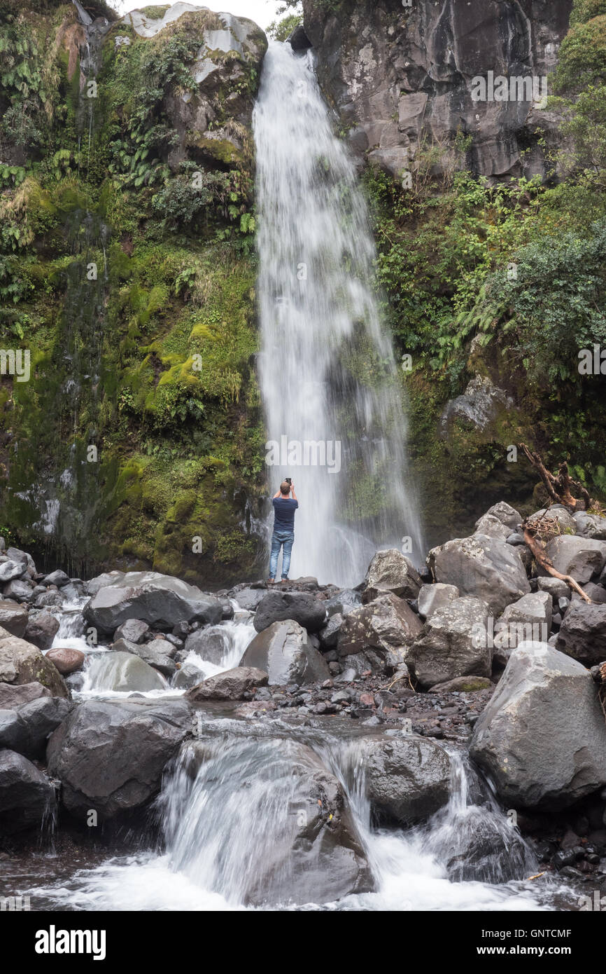 Dawson Falls Wasserfall, Taranaki, Nordinsel, Neuseeland. Stockfoto