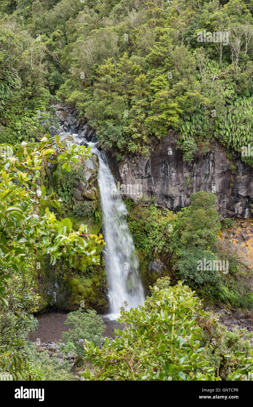 Dawson Falls Wasserfall, Taranaki, Nordinsel, Neuseeland. Stockfoto