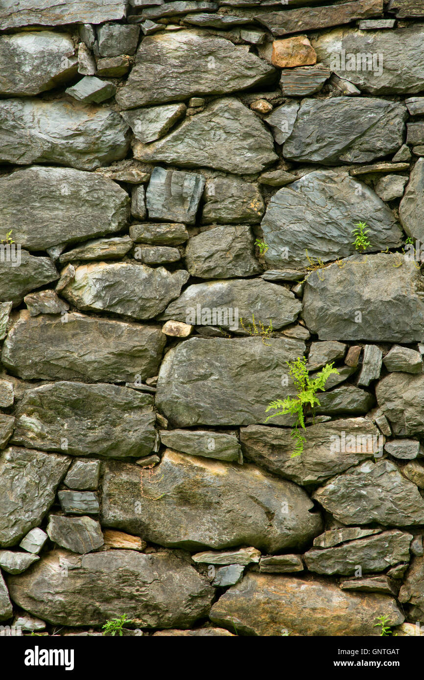 Sperre 38 Steinarbeiten, Chesapeake and Ohio Canal National Historical Park, Maryland Stockfoto