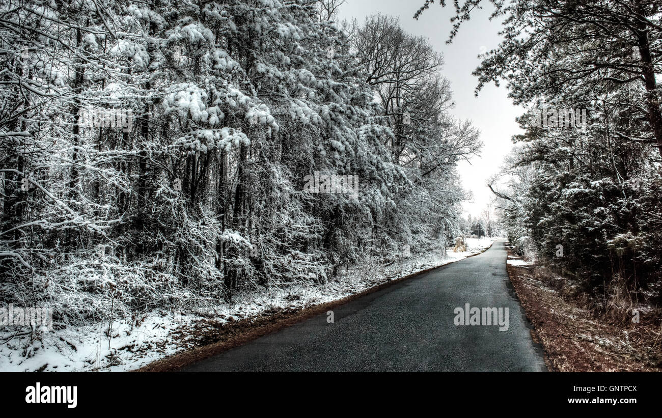 In einer Winterlandschaft von Schnee und Eis auf den Bäumen geht ein Weg in die Ferne. Stockfoto