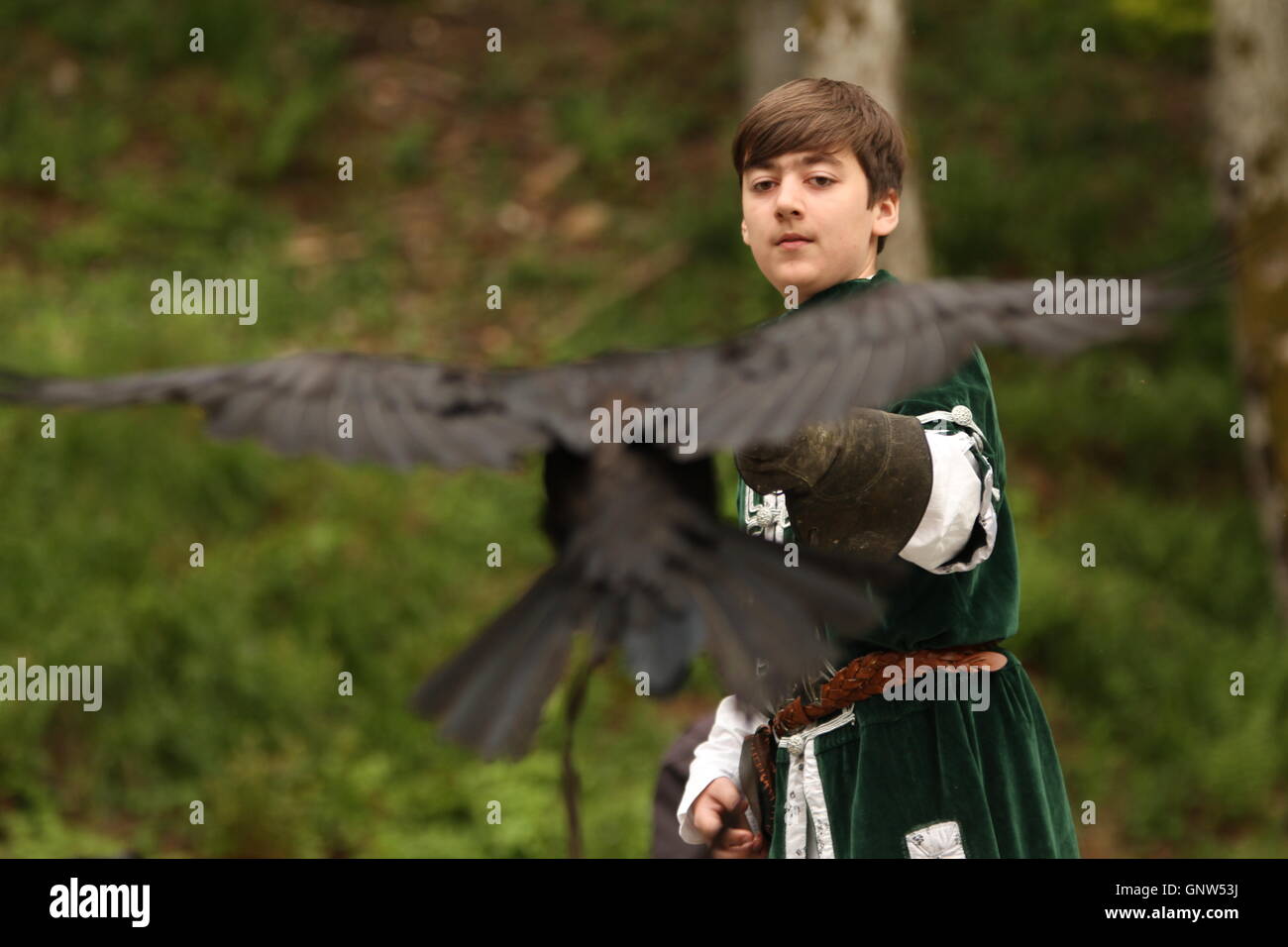 Falkner mit seinem Raven (Corvus Corax). Stockfoto