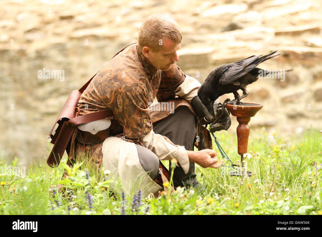 Falkner mit seinem Raven (Corvus Corax). Stockfoto