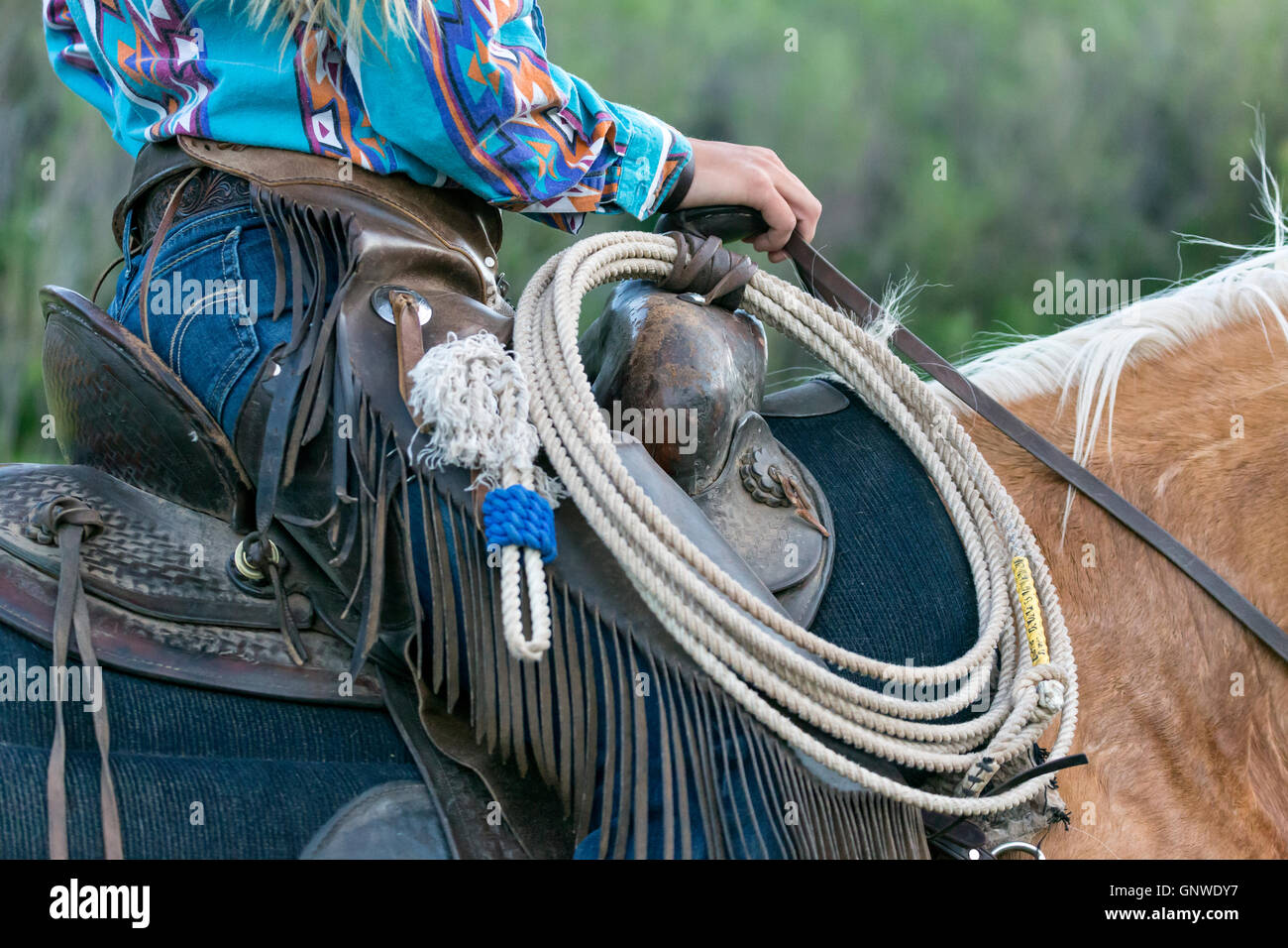 WY00996-00... WYOMING - Detail von Jessica Howard auf dem Pferderücken auf der CM-Ranch in der Nähe von Dubois. (HERR #H18) Stockfoto