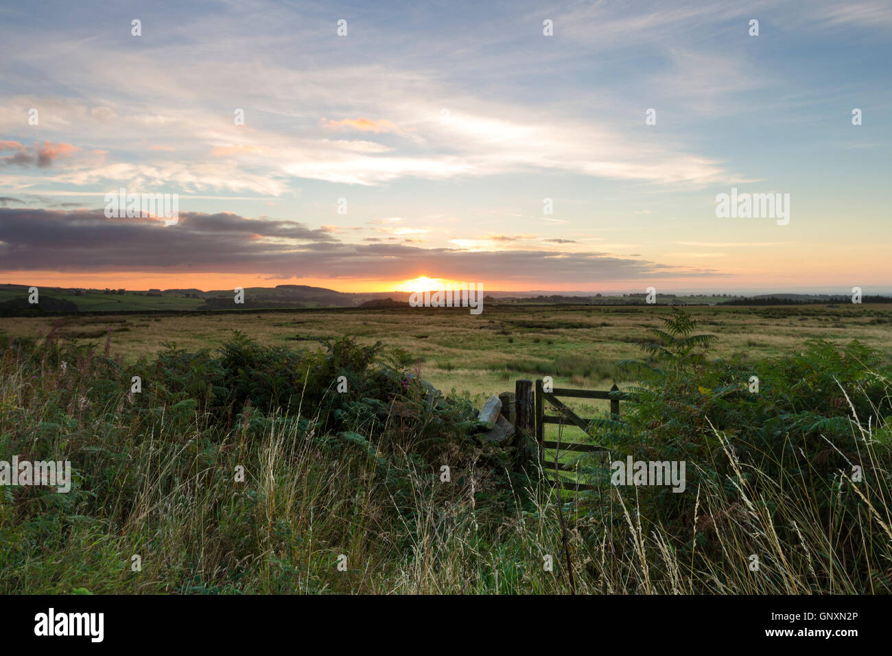 Teesdale, County Durham UK. Donnerstag, 1. September 2016. Großbritannien Wetter.  Es war eine bunte Sonnenaufgang am ersten Tag des metrologischen Herbstes in Nordengland.  Die Prognose ist für einen anderen Tag trocken, obwohl Cloud, bis zum Abend verdicken wird, Ausbrüche von Regen, vor allem auf eine höhere Ebene zu bringen.  Bildnachweis: David Forster/Alamy Live-Nachrichten Stockfoto