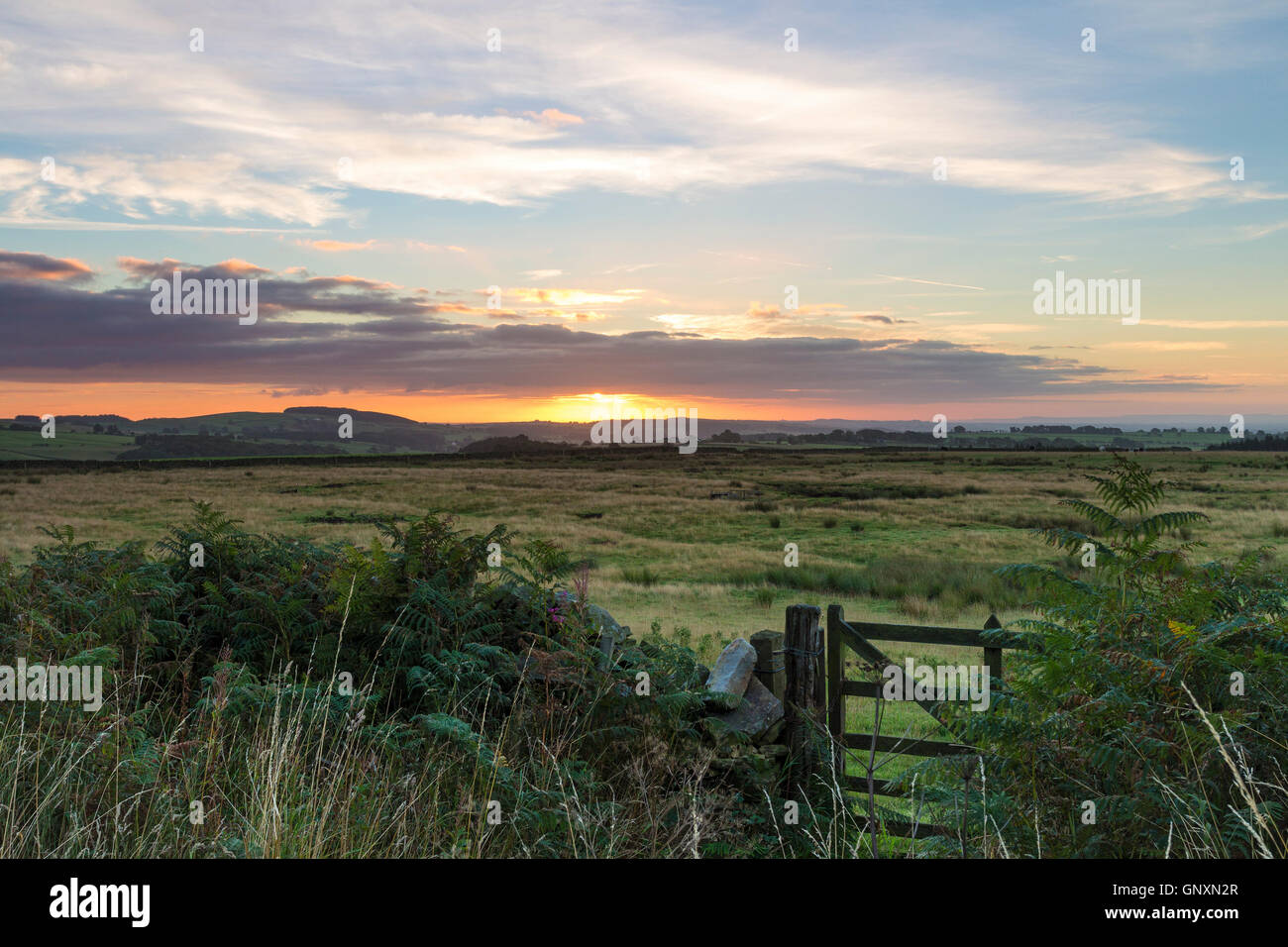 Teesdale, County Durham UK. Donnerstag, 1. September 2016. Großbritannien Wetter.  Es war eine bunte Sonnenaufgang am ersten Tag des metrologischen Herbstes in Nordengland.  Die Prognose ist für einen anderen Tag trocken, obwohl Cloud, bis zum Abend verdicken wird, Ausbrüche von Regen, vor allem auf eine höhere Ebene zu bringen.  Bildnachweis: David Forster/Alamy Live-Nachrichten Stockfoto