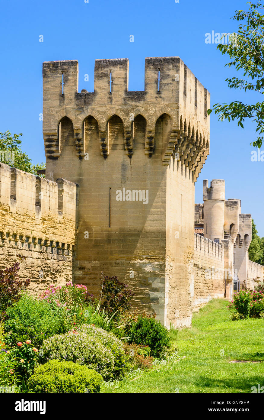 Stadtmauer und Turm, ein Abschnitt der Stadtmauer in der Nähe von Porte De La Republique, Avignon, Frankreich Stockfoto