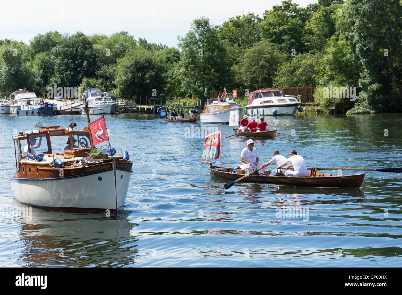 Swan Upping Boot und Skiff auf Themse am Lalham Reach, Laleham, Surrey, England, Vereinigtes Königreich Stockfoto