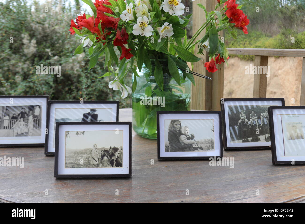 Familienfotos in einem Frame an Kingston Vineyards, Casablanca Valley, Valparaiso, Chile Stockfoto