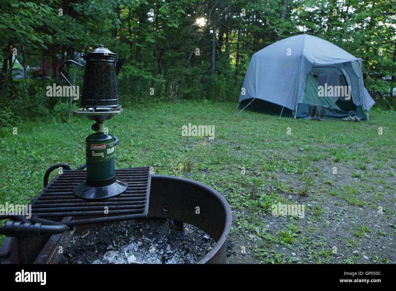 Woodford State Park in den grünen Bergen des südlichen Vermont, USA. Große Familienbetriebs Zelt aufgestellt auf einem Campingplatz an einem sonnigen Sommertag Stockfoto