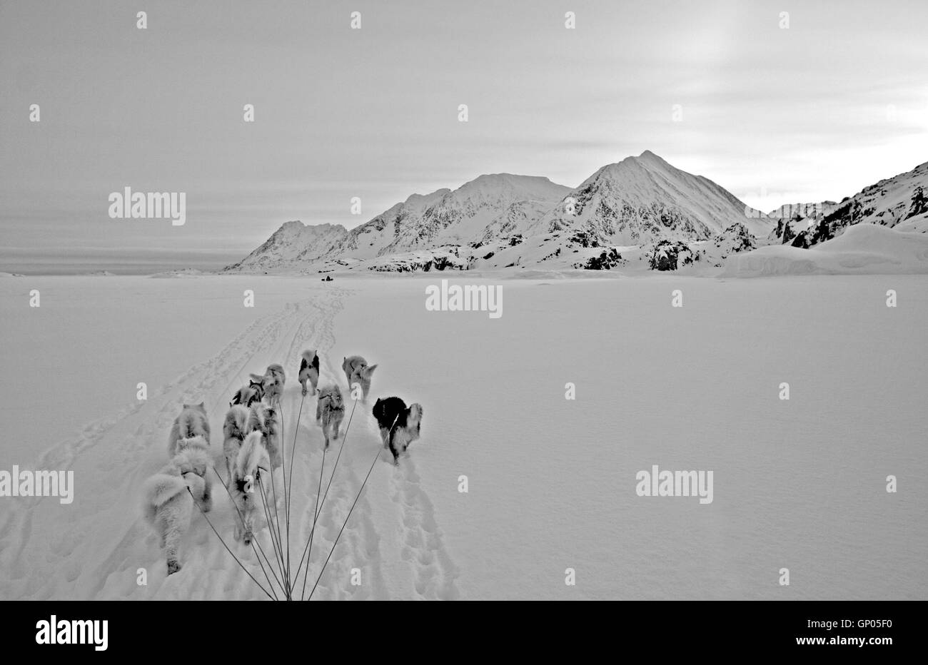 Kulusuk. Grönland. Stockfoto