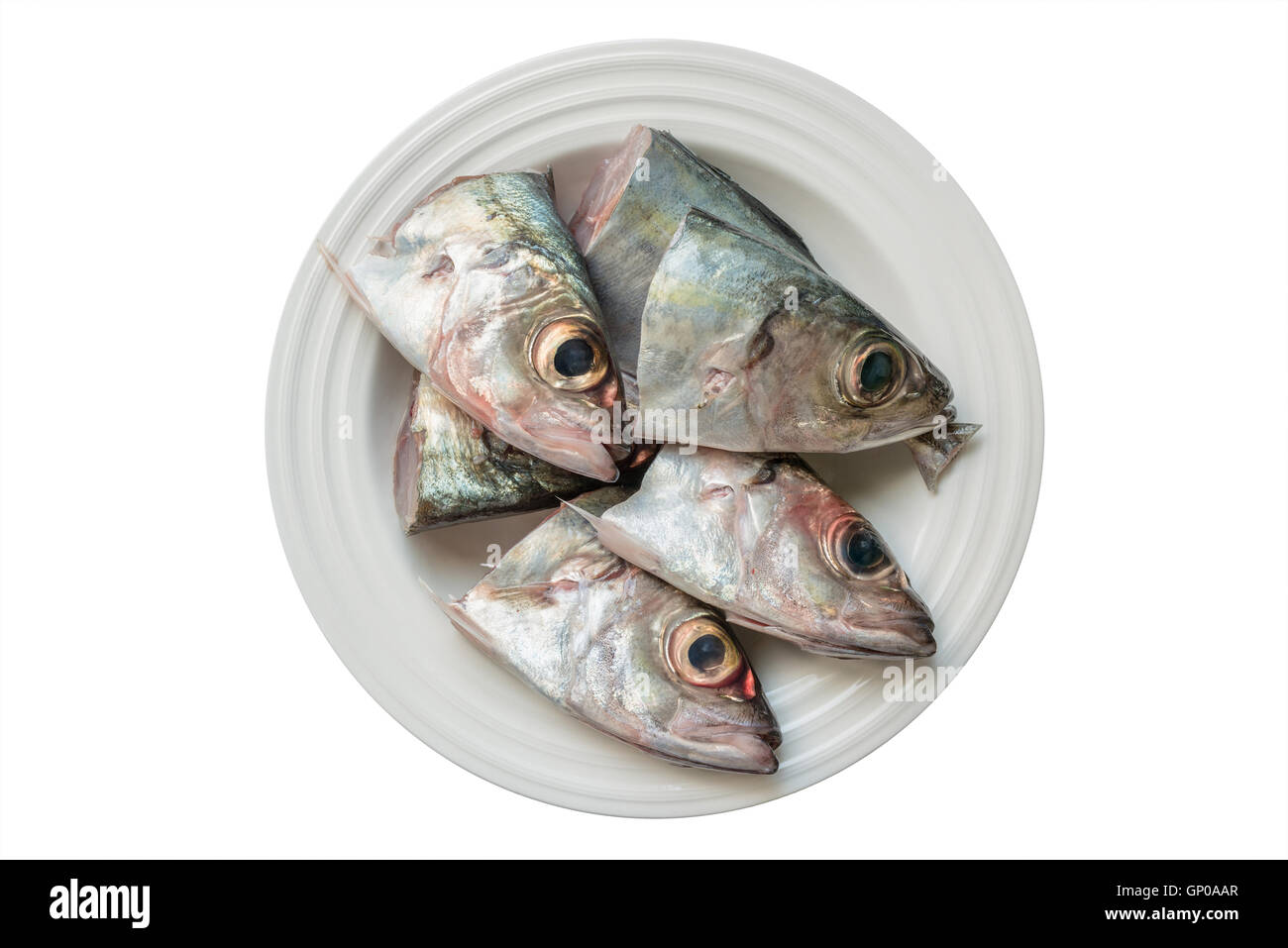 Rohe frische Fische Kopf auf Keramikplatte isoliert auf weißem Hintergrund. Stockfoto