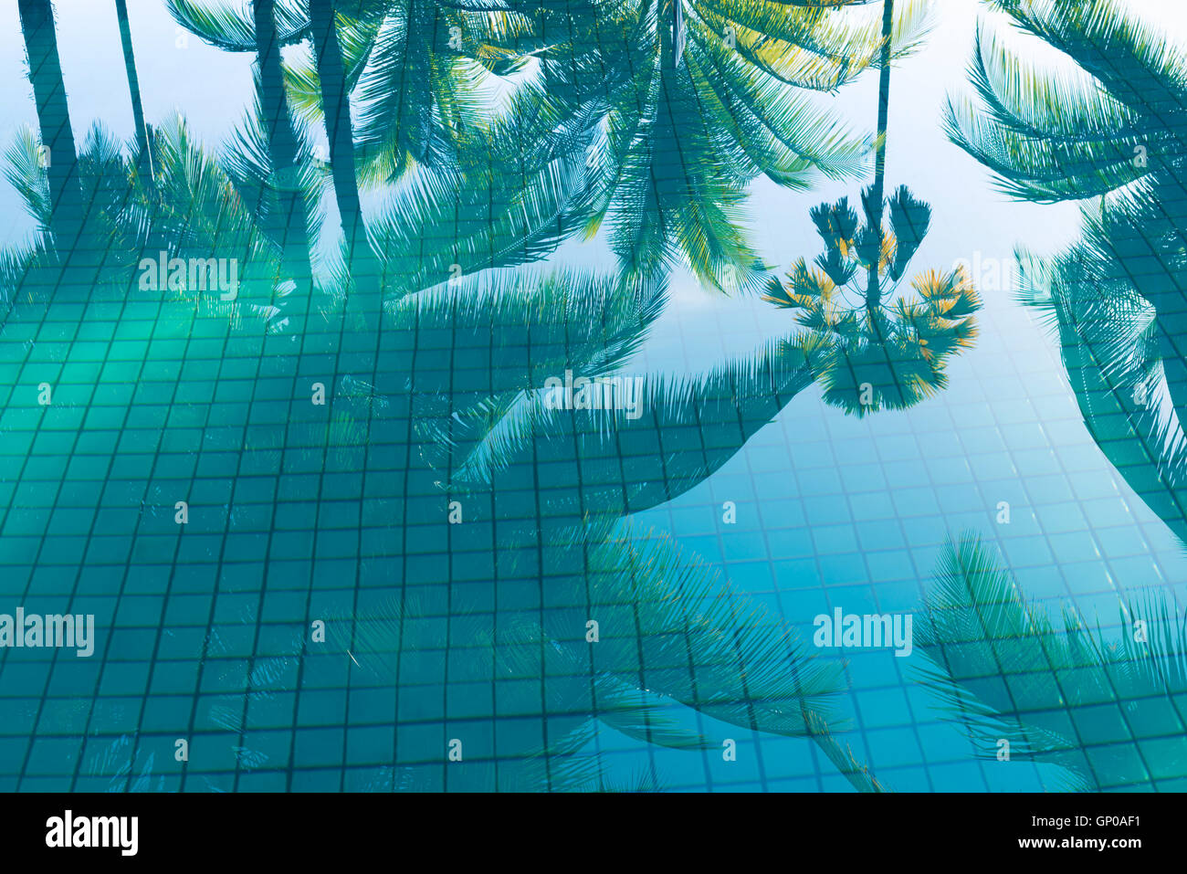 Reflexion von Kokospalmen und Zucker Plam Baum in Türkis-Schwimmbad Stockfoto