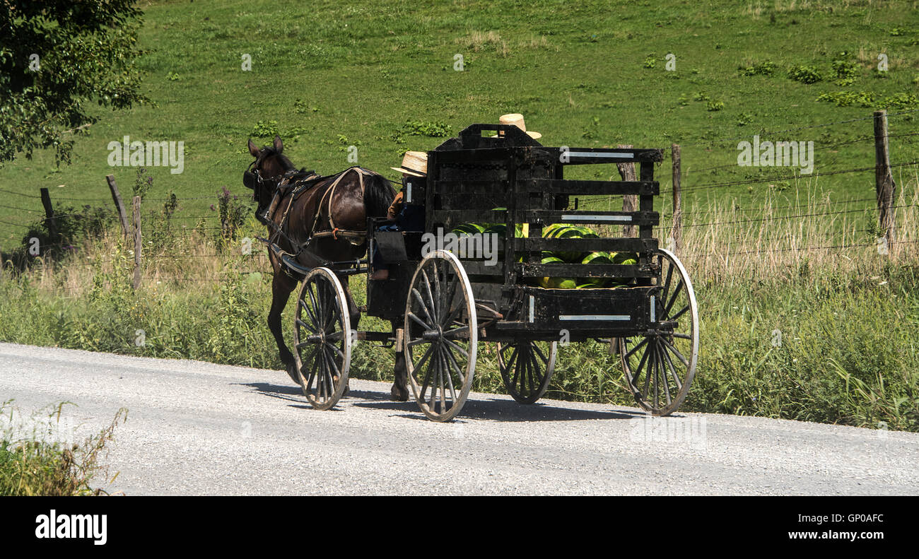 Amische Pferd und offene Buggy mit Watermellon auf Landstraße in Ohio Stockfoto