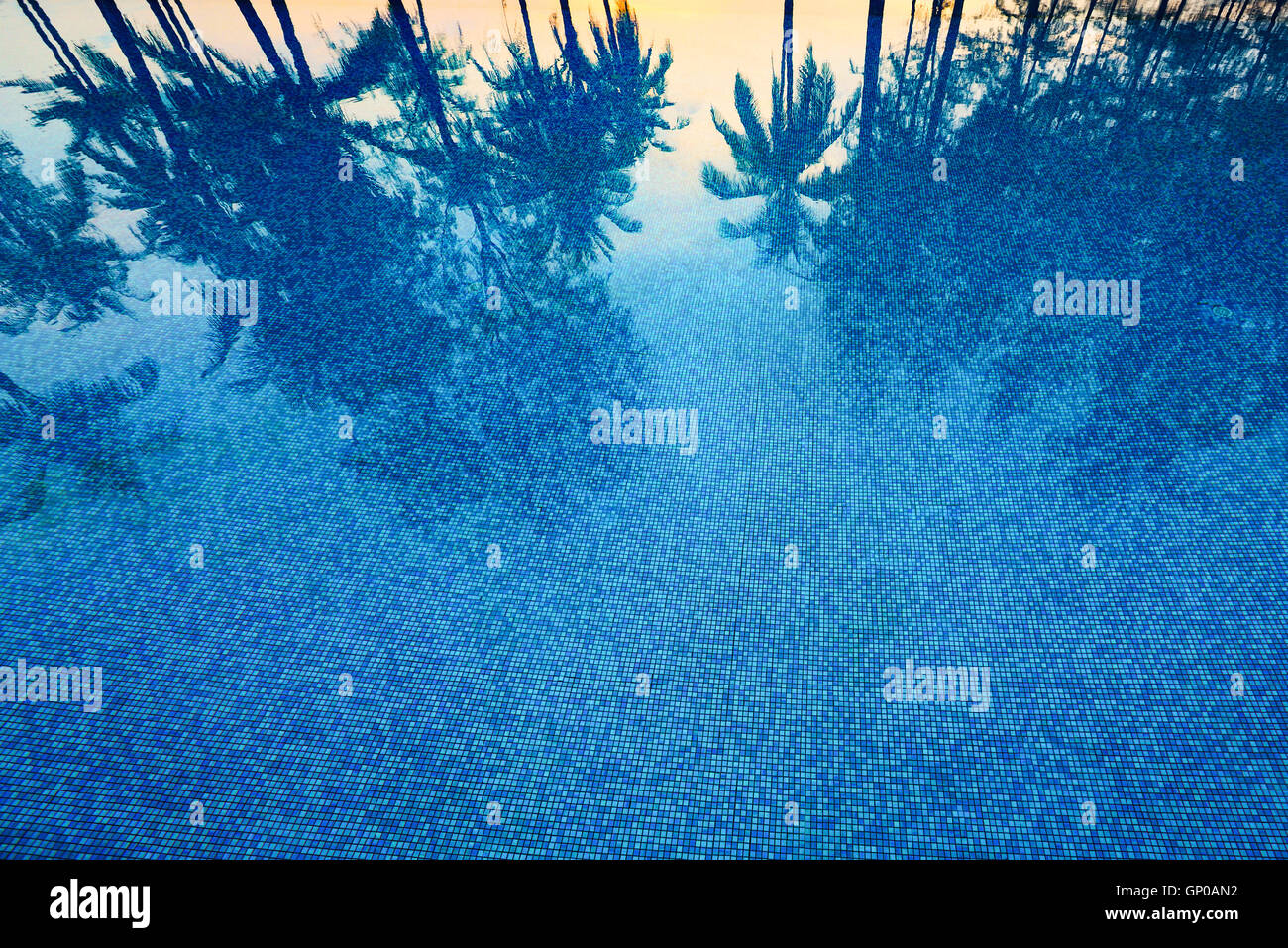 Reflexion von Kokospalmen und Zucker Plam Baum in tiefblauer Farbe Schwimmbad Stockfoto