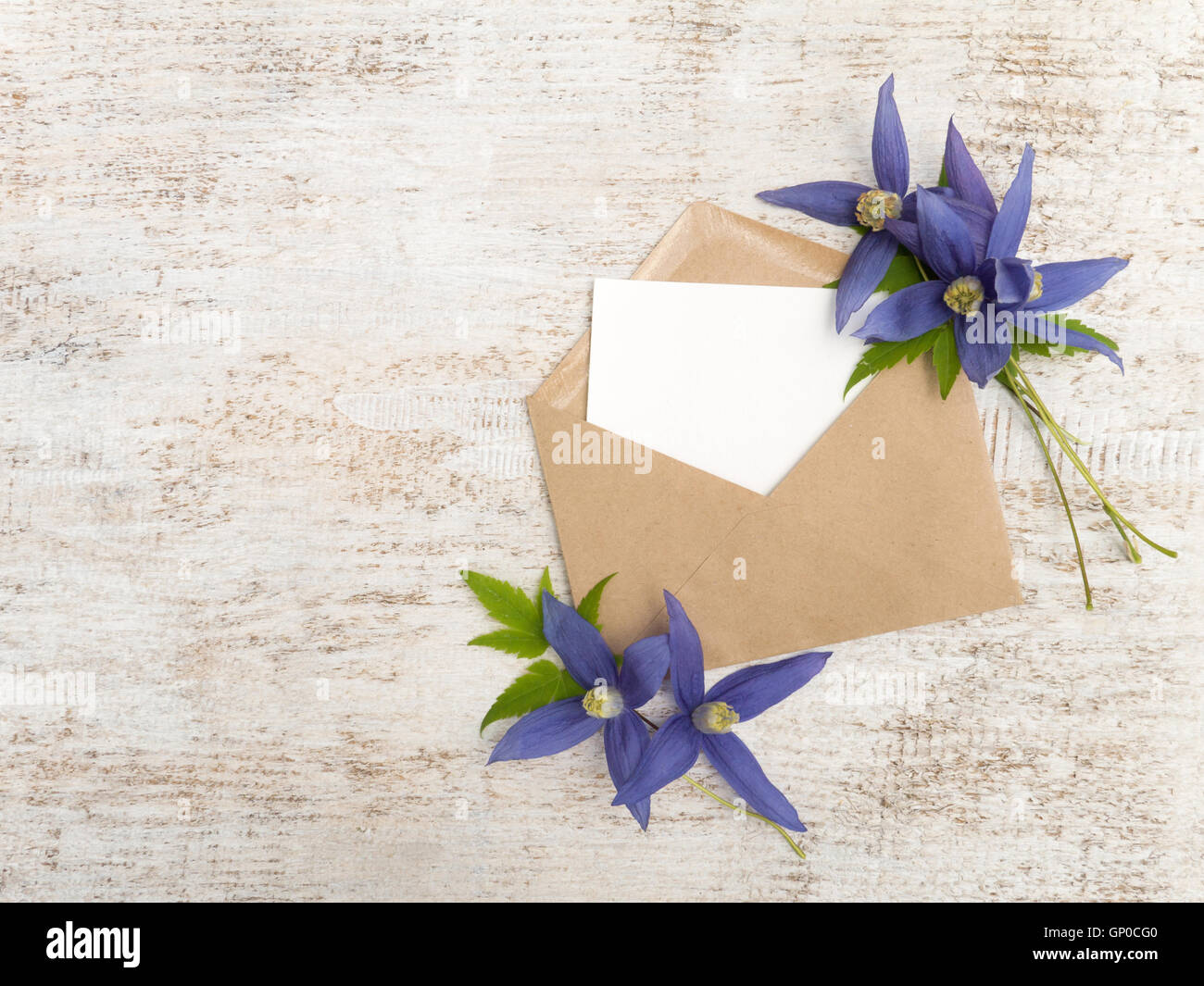 Kraft Papierumschlag mit weiße leere Karte und blaue Clematis Alpina Blumen Stockfoto