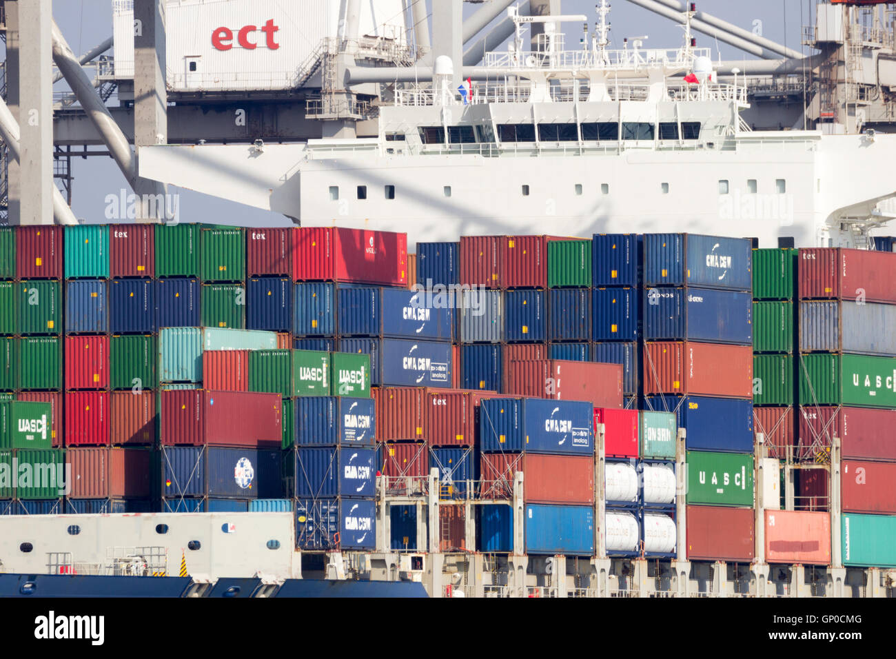 Containerschiff Christophe Colomb von CMA CGM vertäut am Containerterminal im Hafen von Rotterdam Stockfoto