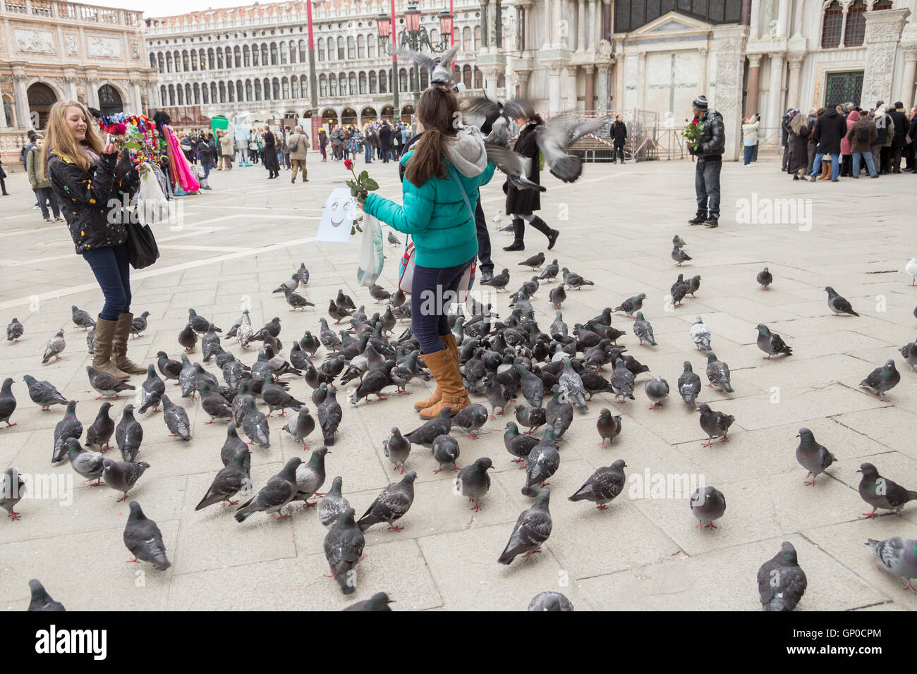 Touristen, die Tauben füttern, auf dem Platz San Marco in Venedig, Italien Stockfoto