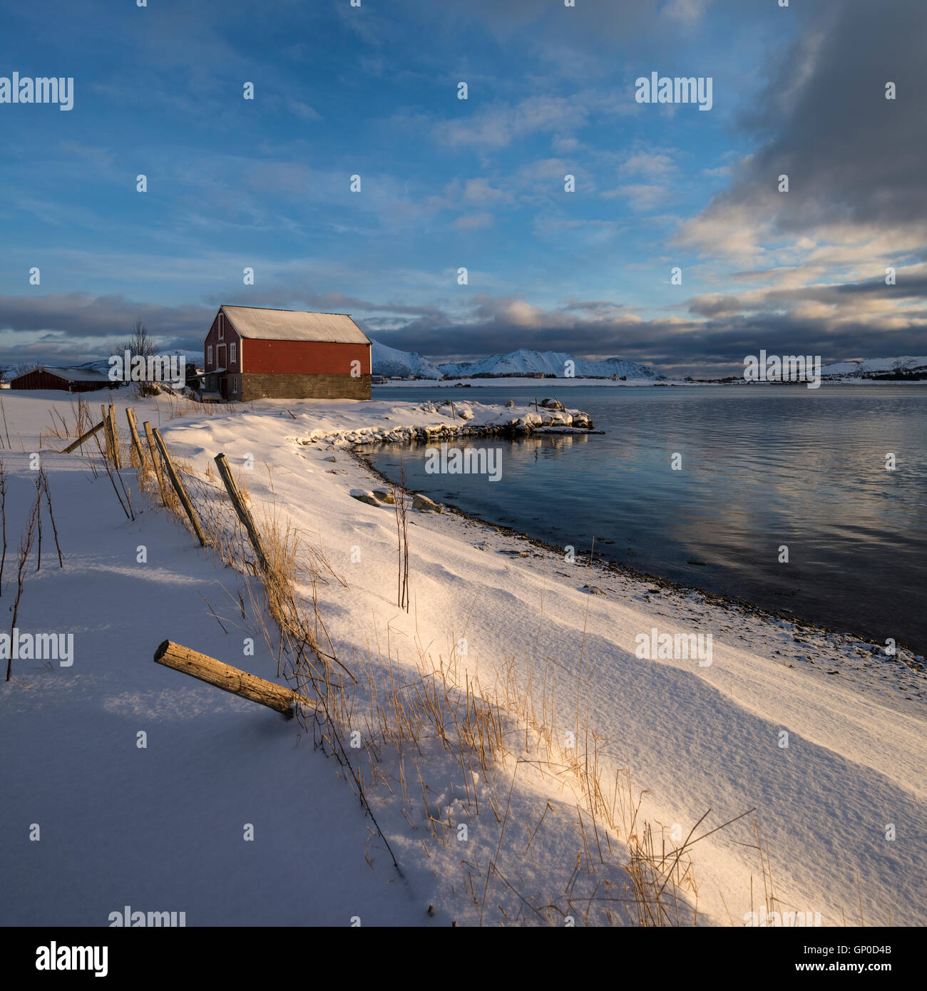 Scheune in küstennahen Winterlandschaft, Leknes, Lofoten Inseln, Norwegen Stockfoto