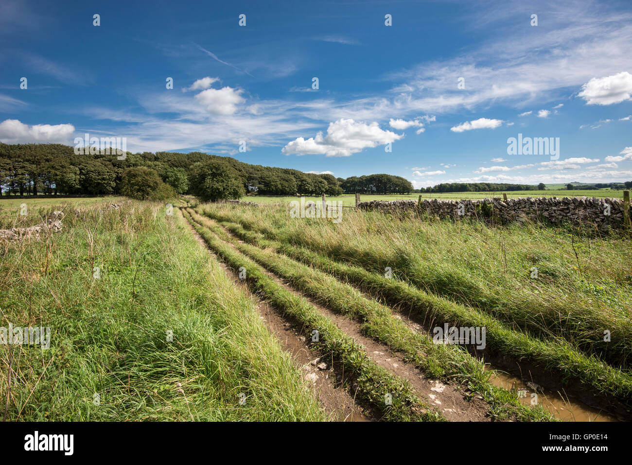 Ein ländlicher Bauernhof verfolgen in der englischen Landschaft an einem schönen Sommertag. Stockfoto
