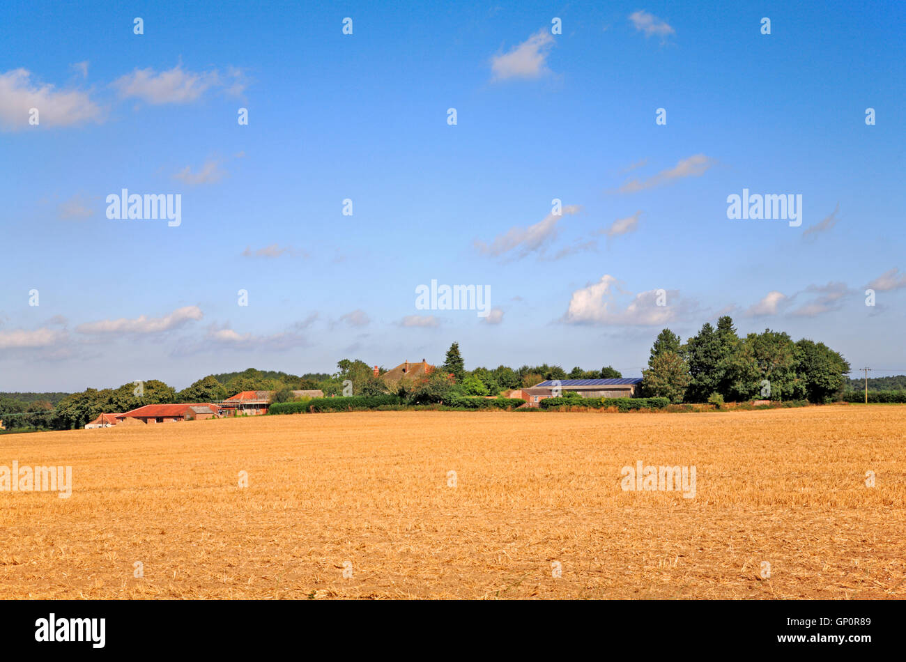 Ein Blick auf einem Bauernhof über geernteten Land auf dem Land im Suffield, Norfolk, England, Vereinigtes Königreich. Stockfoto