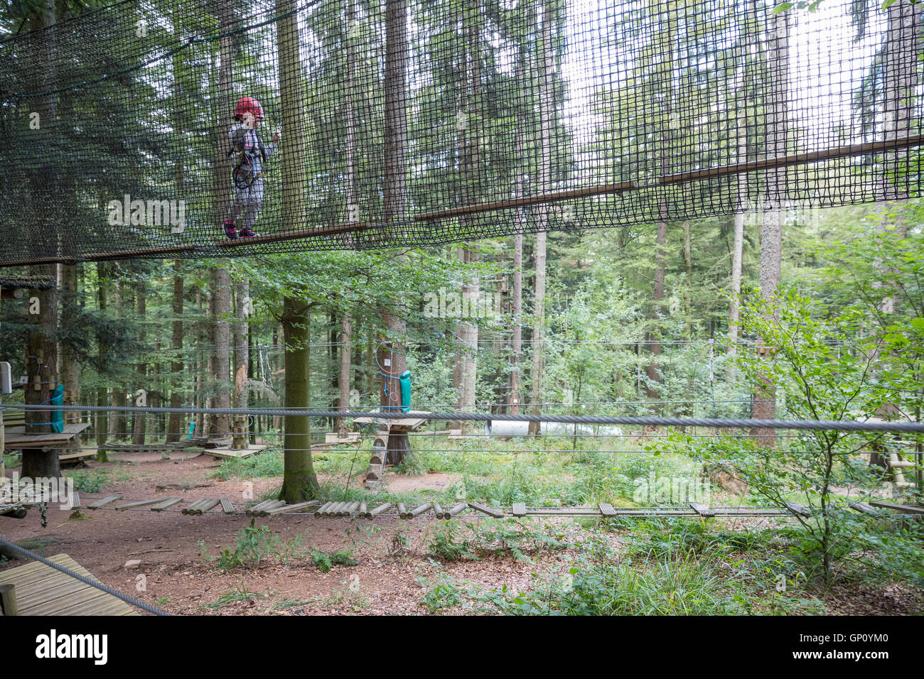 Junges Mädchen in einem Netz im Baumklettern Aktivität Stockfoto