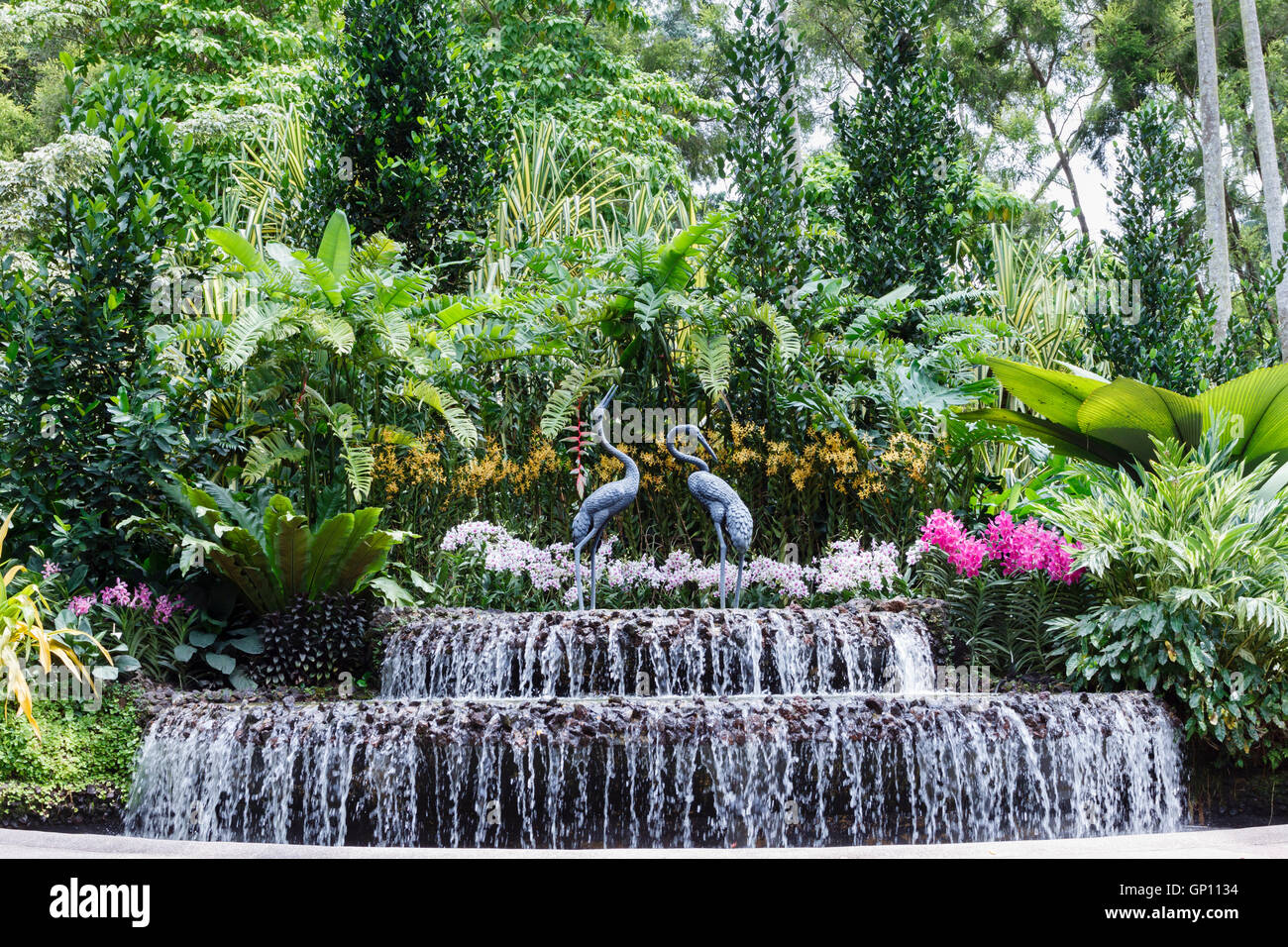Orchideengarten singapur Stockfotos und bilder Kaufen Alamy