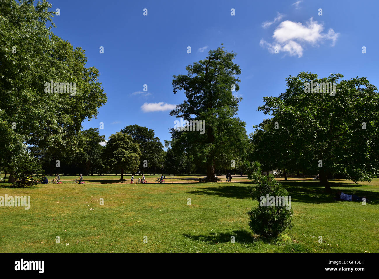 Sommer im Hyde Park Stockfoto