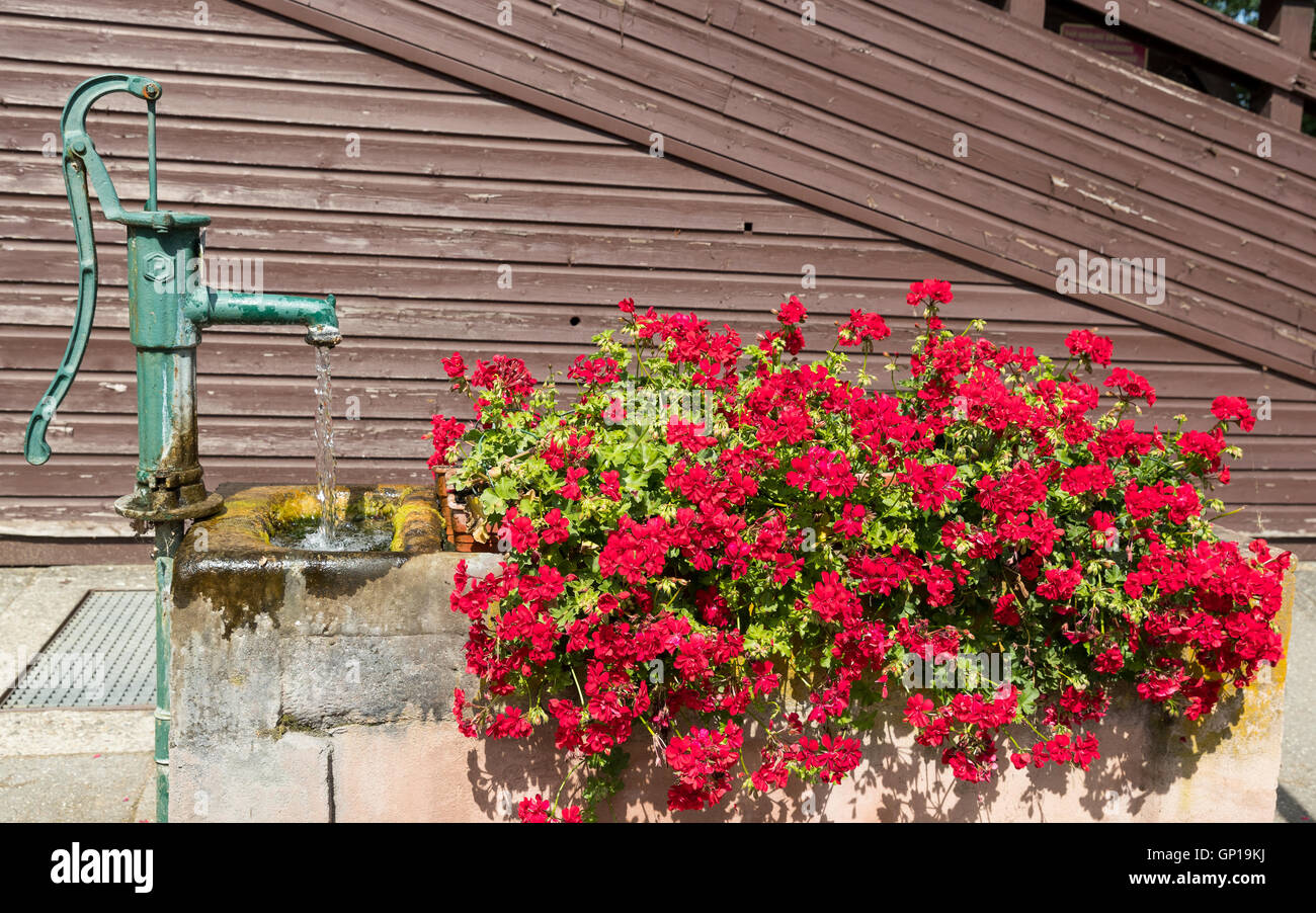 Alten Springbrunnen und rote Blumen rund um Stockfoto