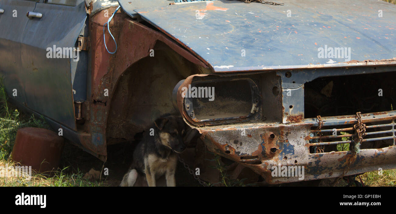 Hund an einem rostigen Auto gekettet Stockfoto