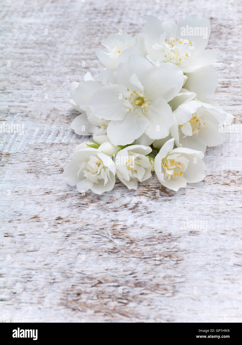 Weiße englische Hartriegel Blumen Blumenstrauß auf dem hölzernen rustikalen Hintergrund Stockfoto