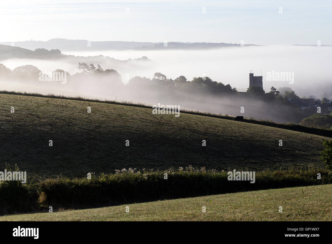 nebligen Felder nahe dem Dorf Dunsford, Dartmoor Nationalpark, Holz, Holz, Tor, Pole, outdoor, EU-Agrarsubventionen Stockfoto