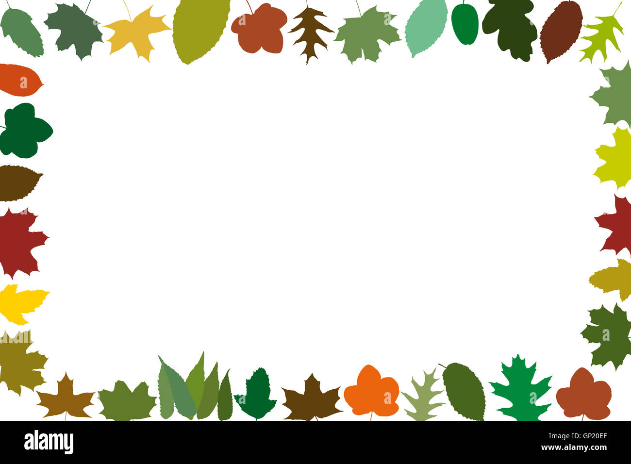 Verschiedene Herbstblätter als Frame in warmen Farben Stockfoto