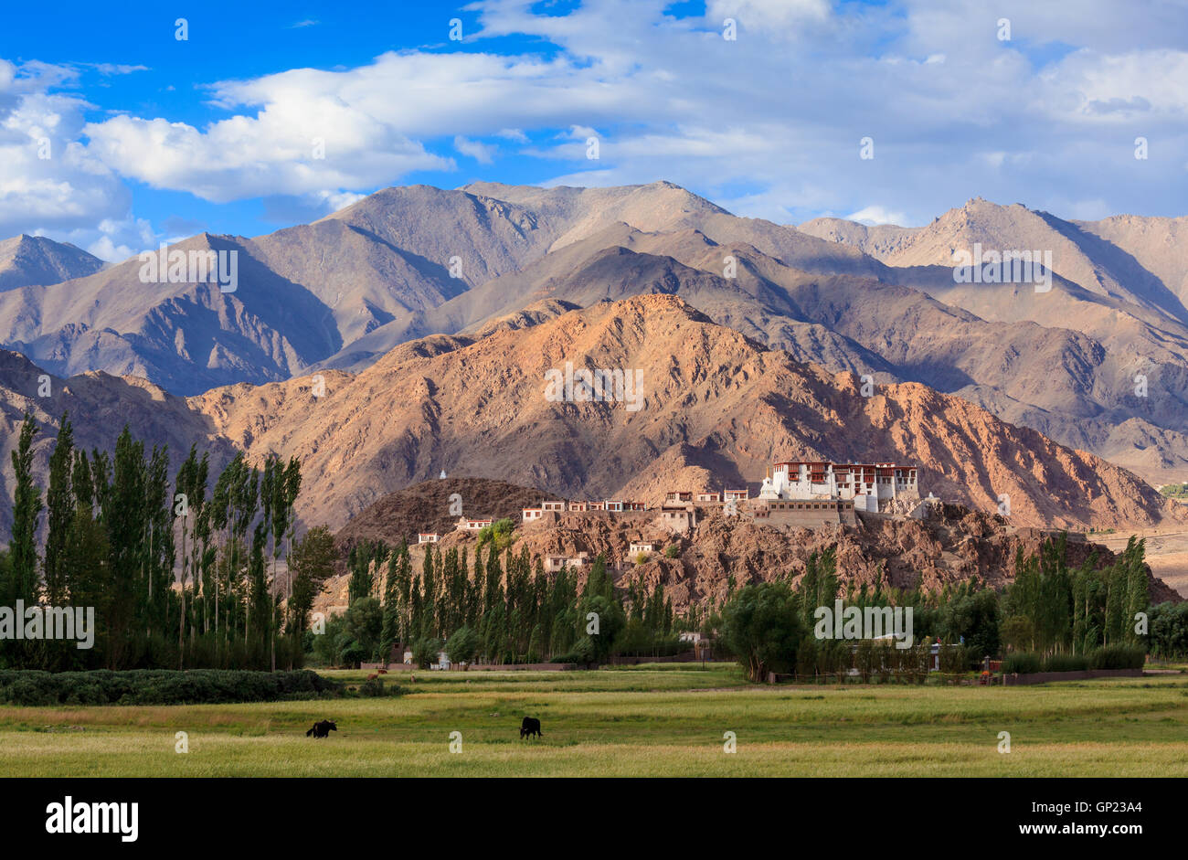 Stakna Kloster, Leh Ladakh, Jammu und Kaschmir, Indien Stockfoto