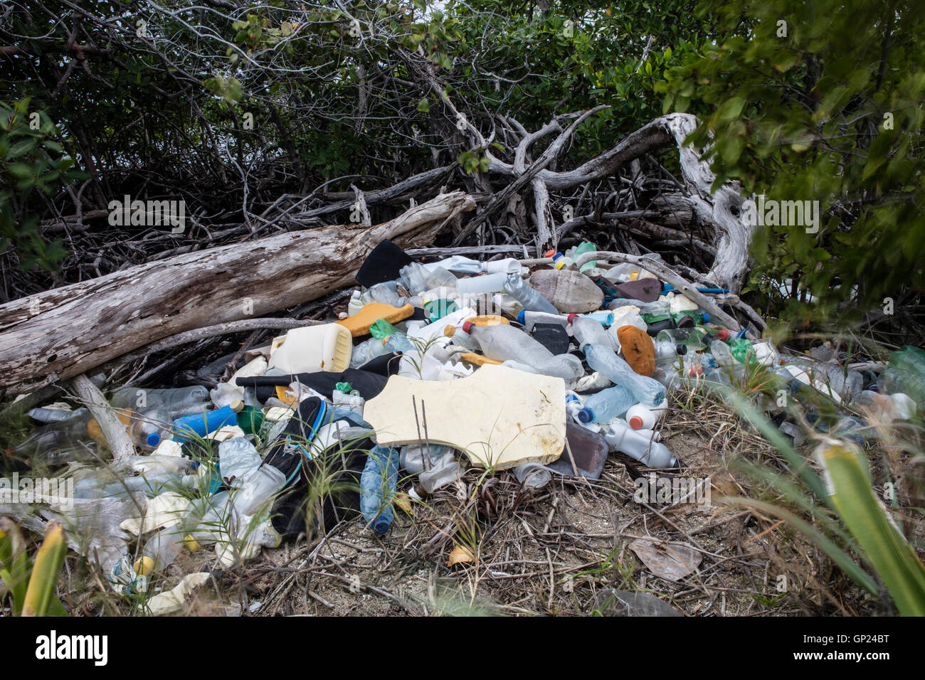 Plastikmüll angeschwemmt am Ufer, Turneffe Atoll, Karibik, Belize Stockfoto