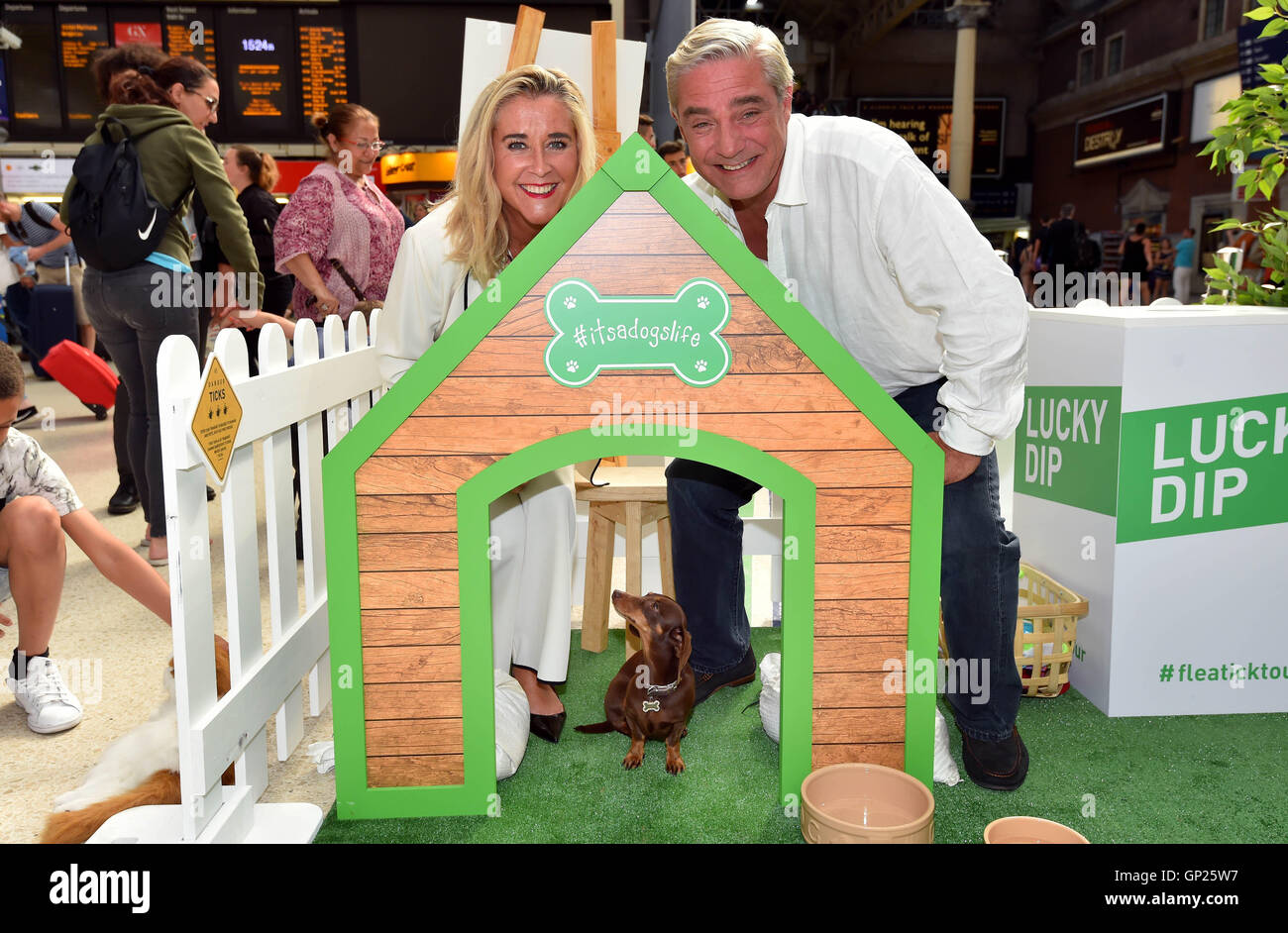 Steph und Dom Parker von Gogglebox lernen mit ihrem Miniatur-Daschund Gigi im FRONTLINE Plus House in Victoria Station, London, Floh- und Zeckenschutz für Katzen und Hunde kennen. Stockfoto