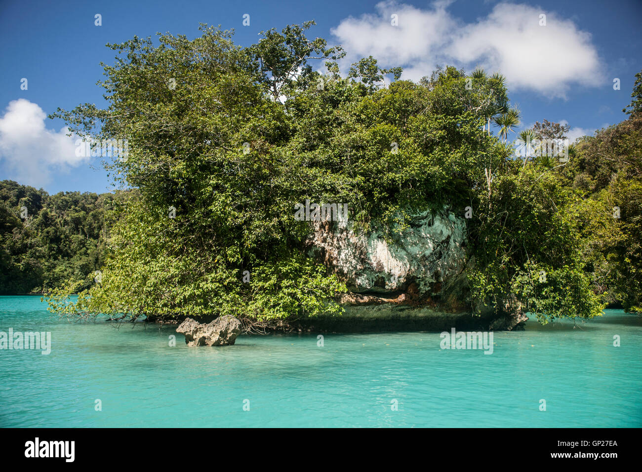 Kalkstein Tropeninsel, Mikronesien, Palau Stockfoto