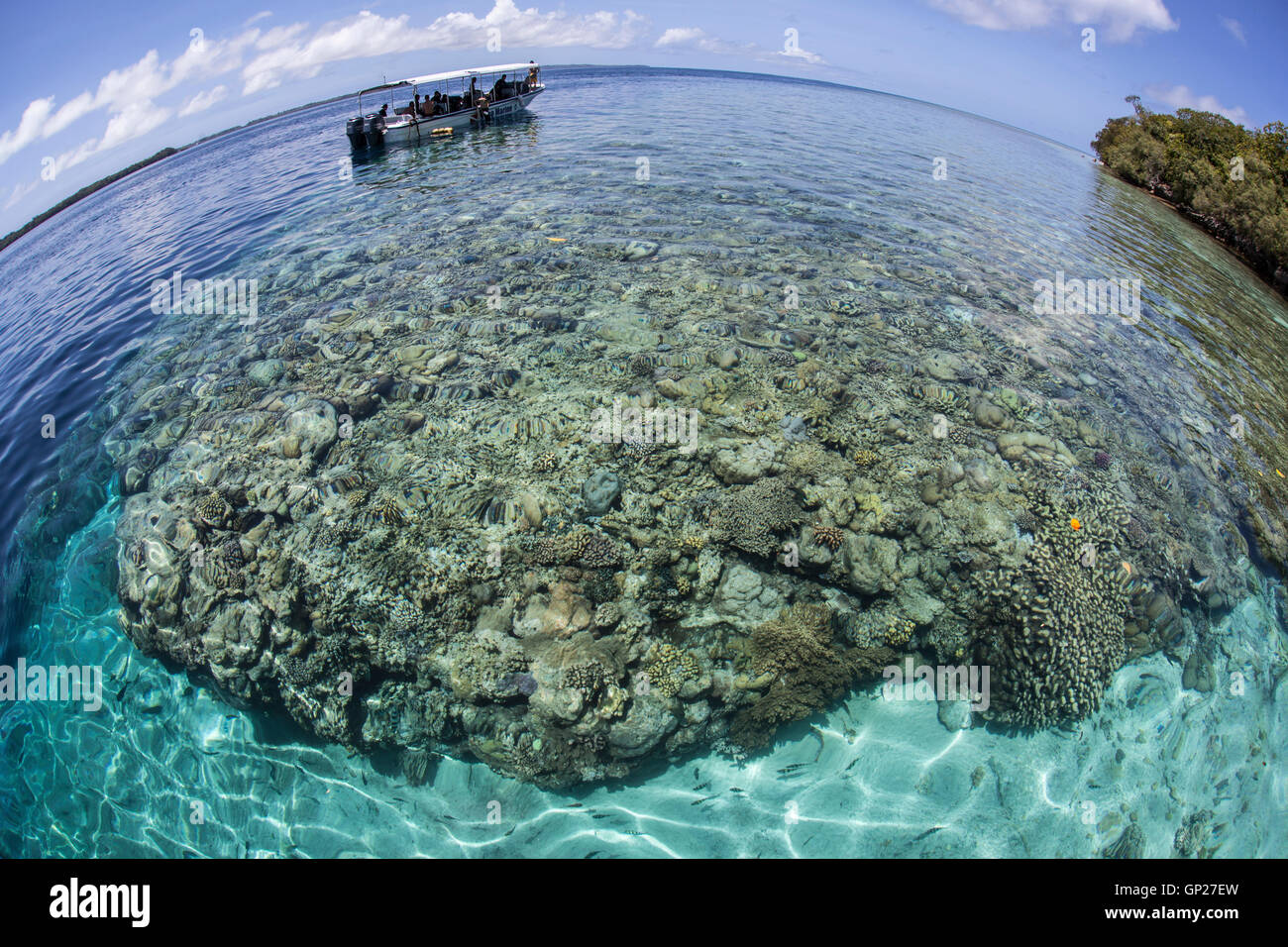 Tauchboot am Korallenriff, Mikronesien, Palau Stockfoto