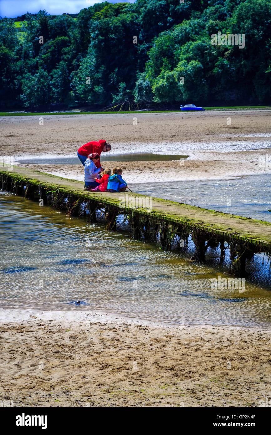 Eine Brücke über einen Fluss Mündung bei Ebbe in Cornwall. Stockfoto