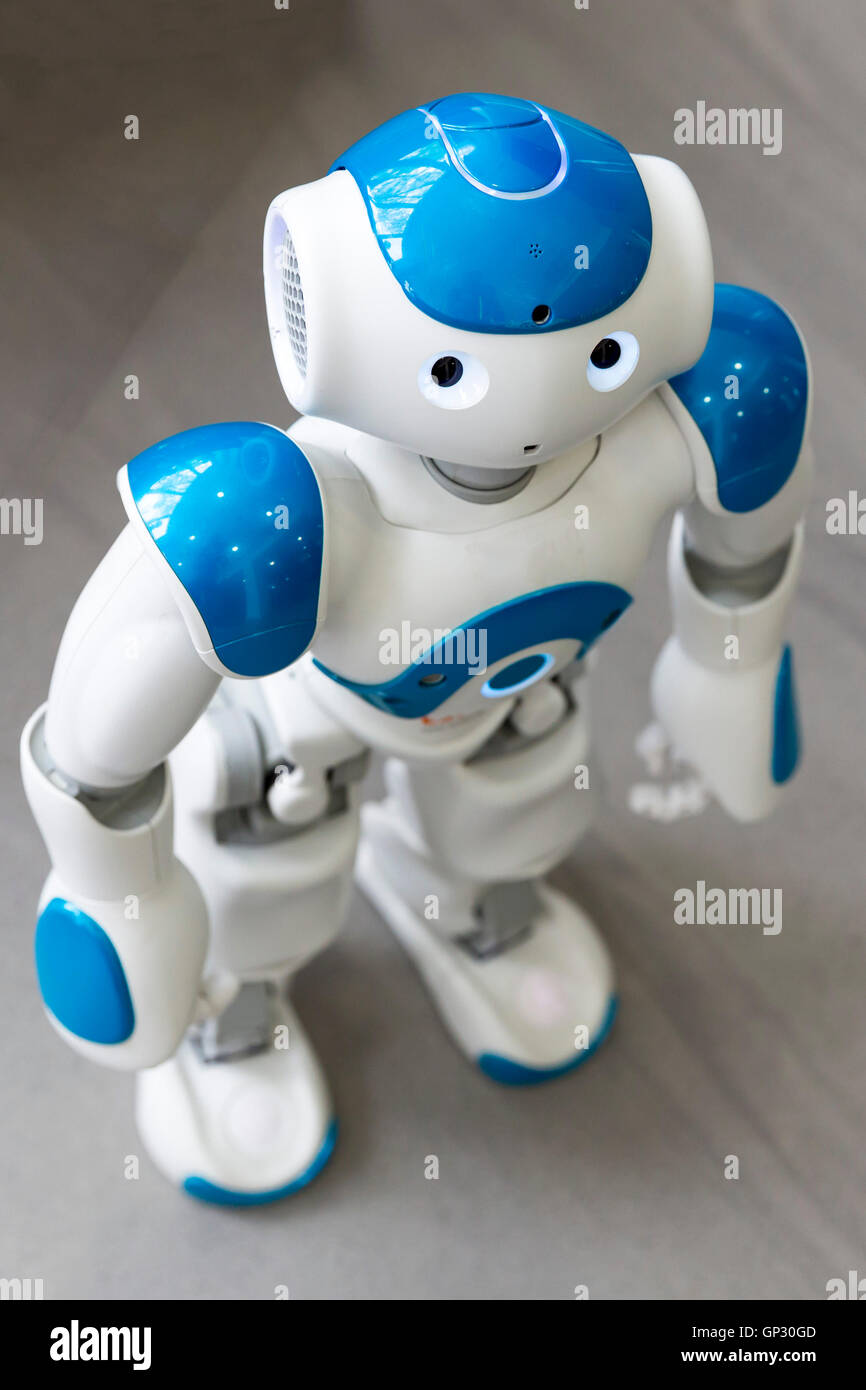 Ein kleiner Roboter mit menschlichen Gesicht und Körper - humanoiden. Künstliche Intelligenz - KI. Blauer Roboter. Blauer Roboter isoliert auf weißem backg Stockfoto