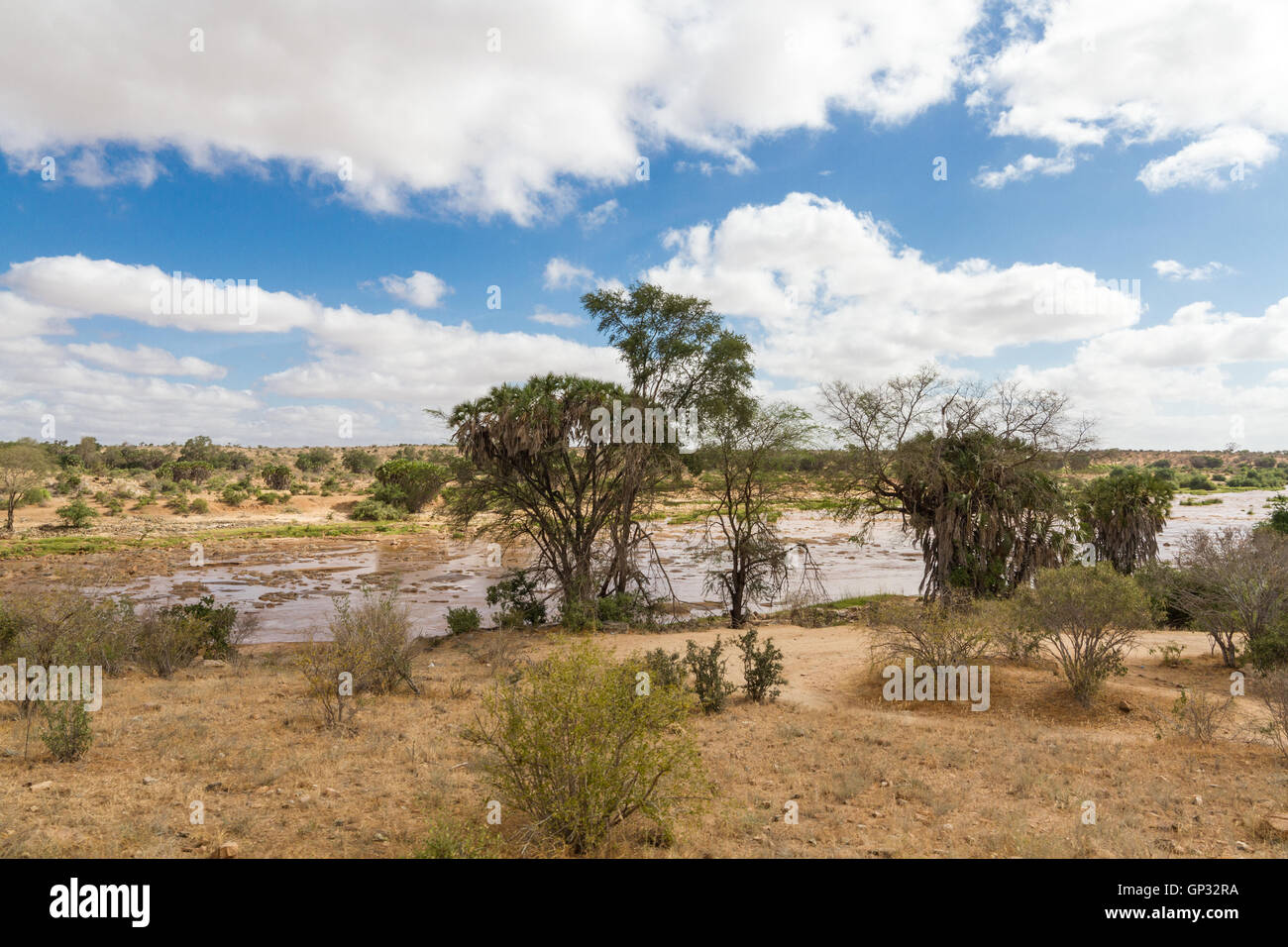 Afrikanische Landschaft der offenen Savanne und Fluss an sonnigen Tag, Tsavo-Nationalpark, Kenia Stockfoto