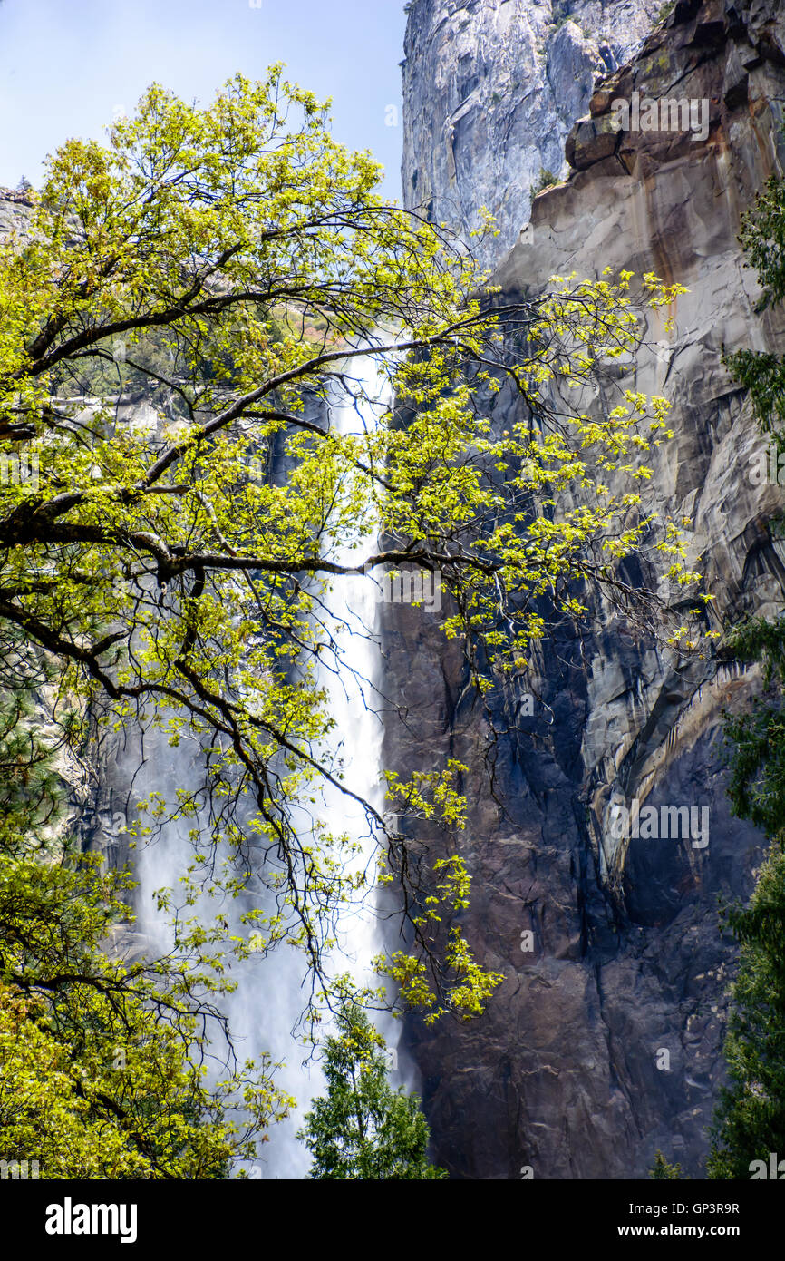 Ich bin froh, erstaunliche Aufnahmen im erstaunlich Yosemite National Park zu nehmen. Wasserfall ist das Symbol des Yosemite. Stockfoto