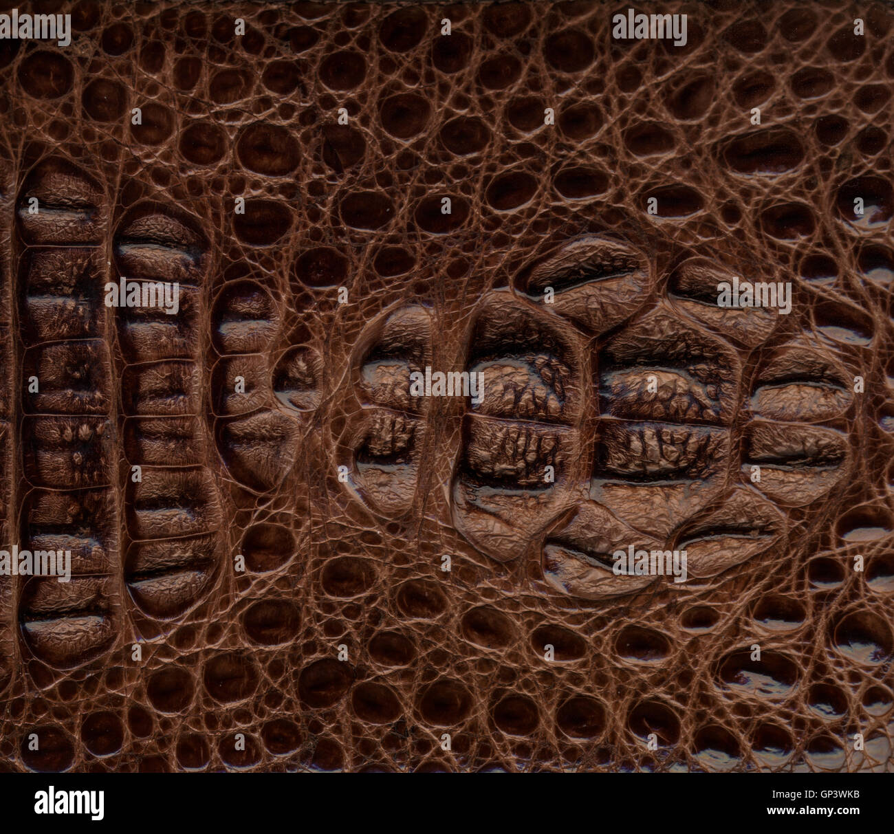 Braune Krokodilleder strukturiertem Hintergrund Stockfoto