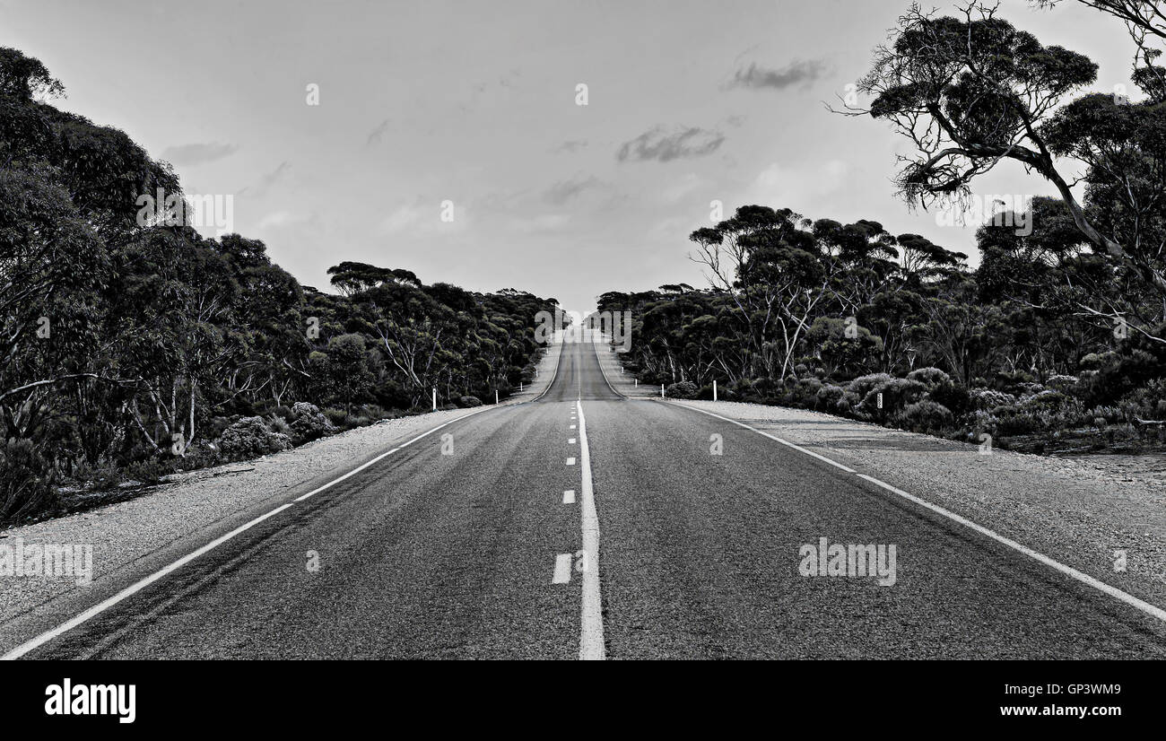 Emtly lange einsame Straße irgendwo am Eyre Highway in Süd-Australien Outback Gumtrees als schwarz-weiß-Bild durchläuft. Stockfoto