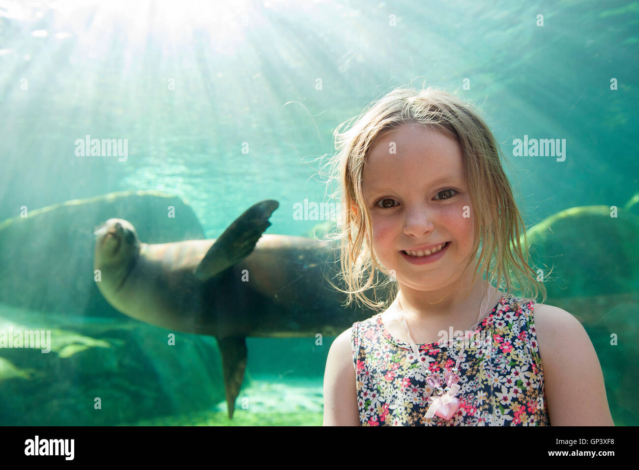 Kleines Mädchen im Aquarium, Porträt Stockfoto